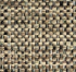 JORDAN-BRONCE.png
